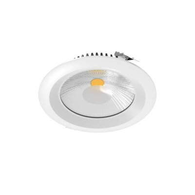 8" high-powered downlight