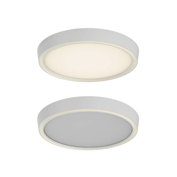 12" dual-light flush mount - Image 2