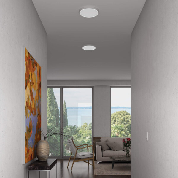 12" dual-light flush mount - Image 5