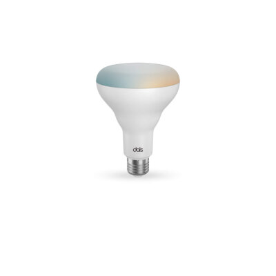 BR30 smart bulb