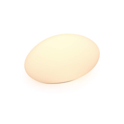 18" smart rock light