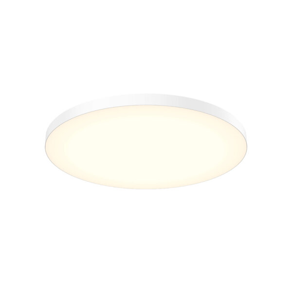 Plafonnier sans bord de 21"