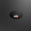 7" multi-voltage darksky wall sconce - Image 5