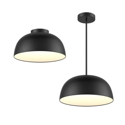20" 2-in-1 flush mount and pendant