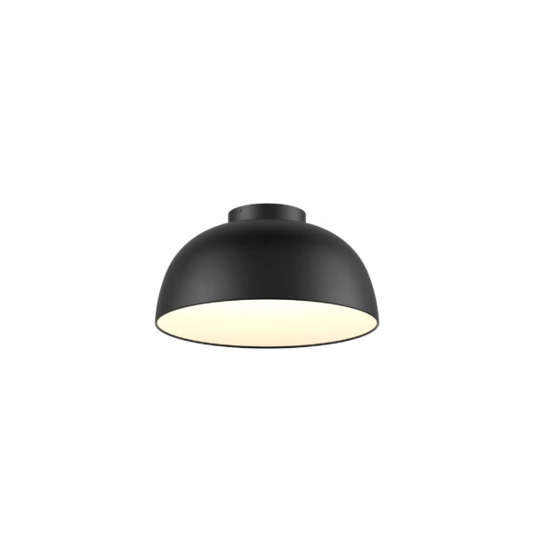 20" 2-in-1 flush mount and pendant - Image 2