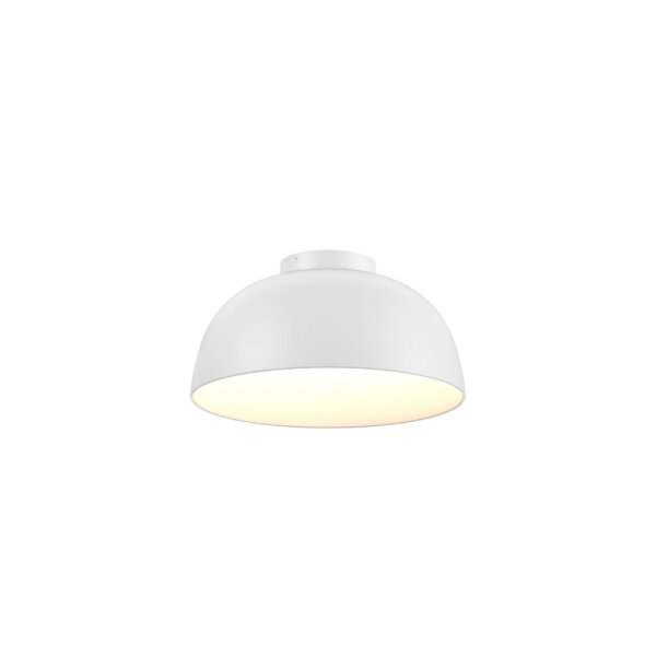 20" 2-in-1 flush mount and pendant - Image 12