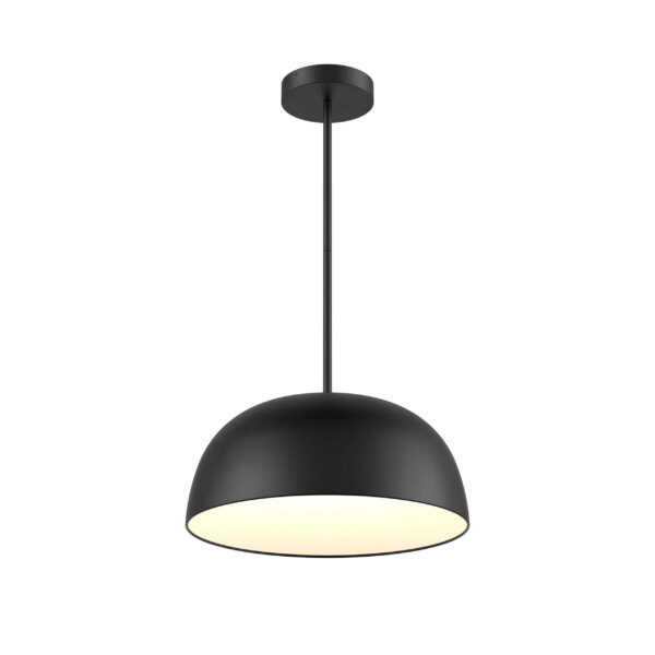 20" 2-in-1 flush mount and pendant - Image 3
