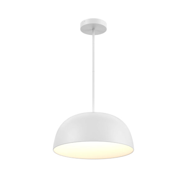 20" 2-in-1 flush mount and pendant - Image 13
